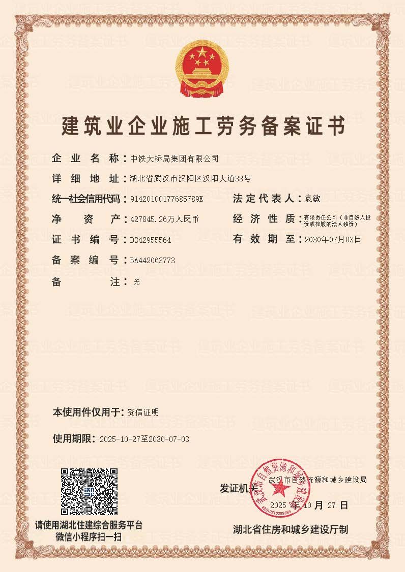 集團(tuán)公司施工勞務(wù)備案資信證明件_dzqz